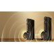 LG Dual tower speaker system with 1000W sound