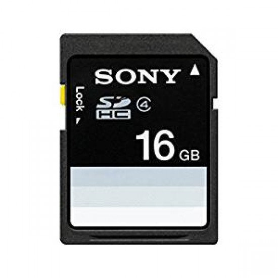 Sony SDHC Card 16 GB:  SF-16N4