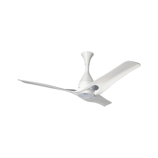 LG Dual Wings Ceiling Fans: LCF12P